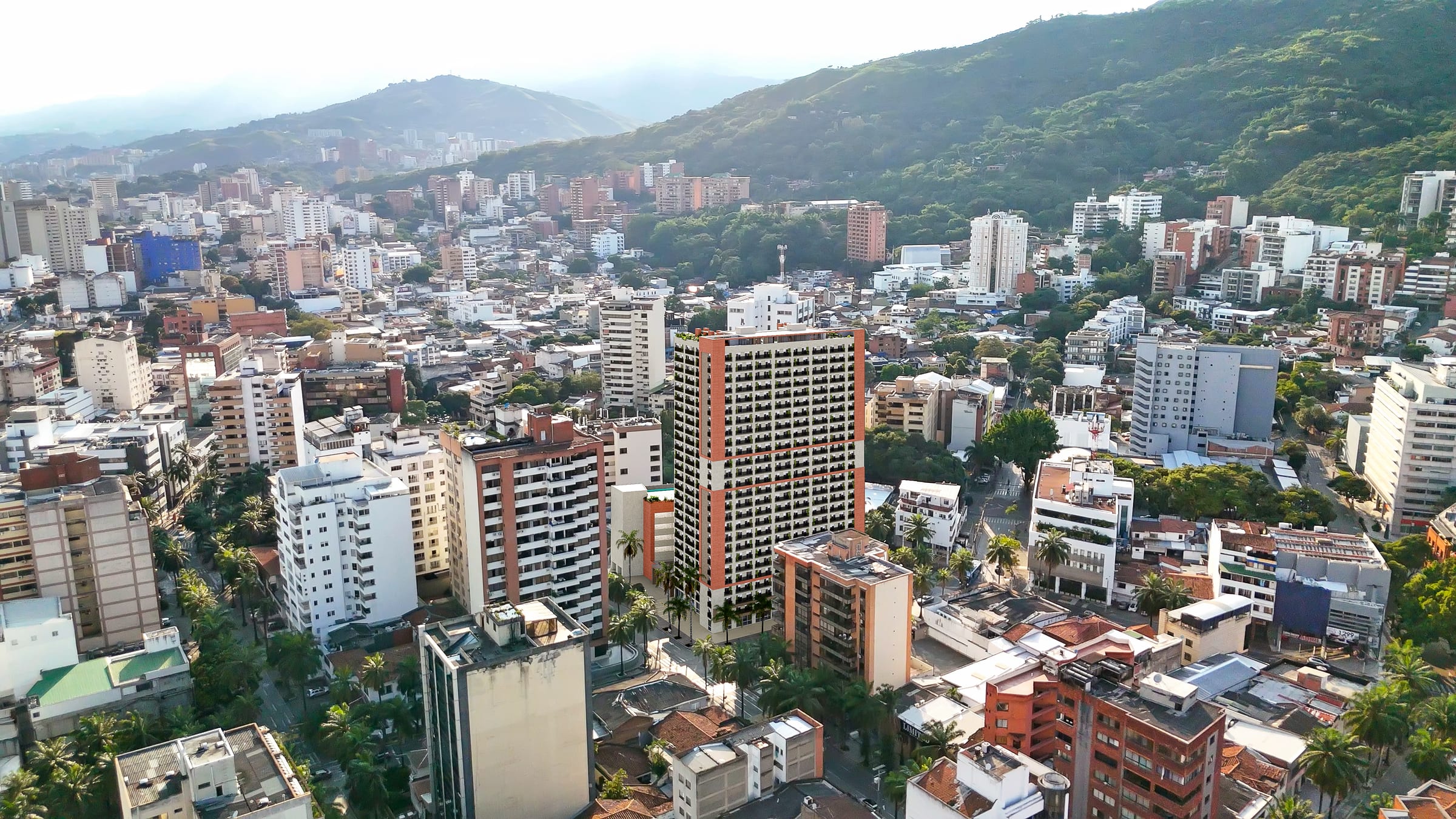 Aerial view of the neighborhood